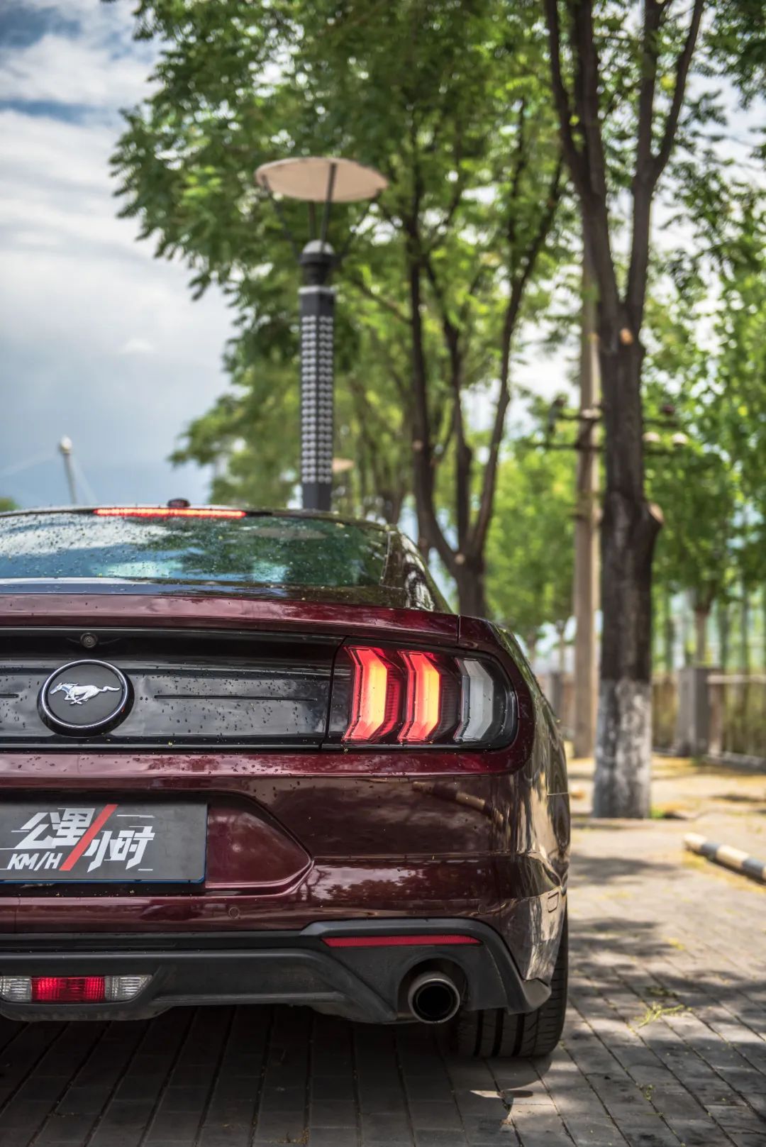 野马2.3t被叫野驴,野马2.3t小野驴