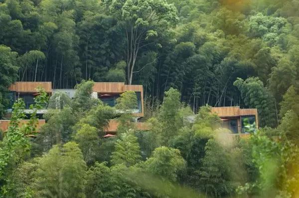 宁海安岚度假酒店,宁海安岚最美的酒店