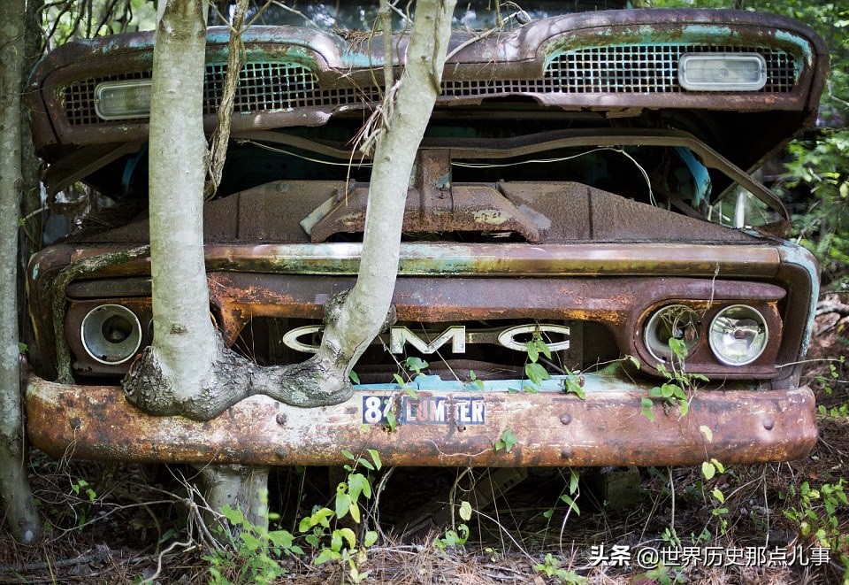 世界上最大汽车博物馆,全球最大的汽车博物馆