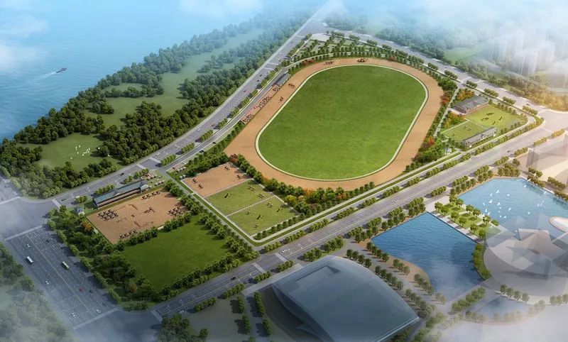 2020武汉大爆发,武汉再次爆发