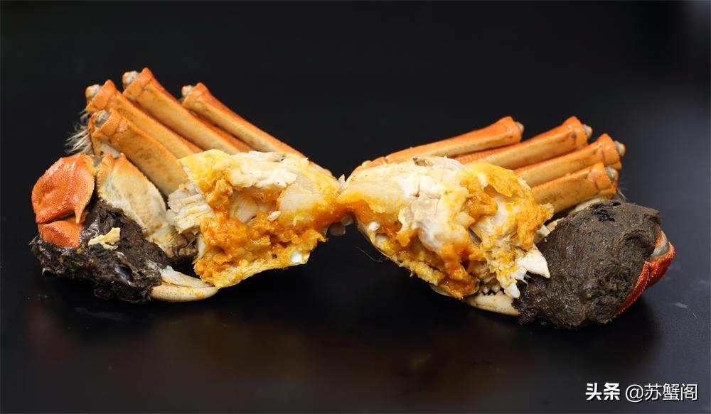 测评阳澄湖大闸蟹视频,肥美正宗阳澄湖大闸蟹