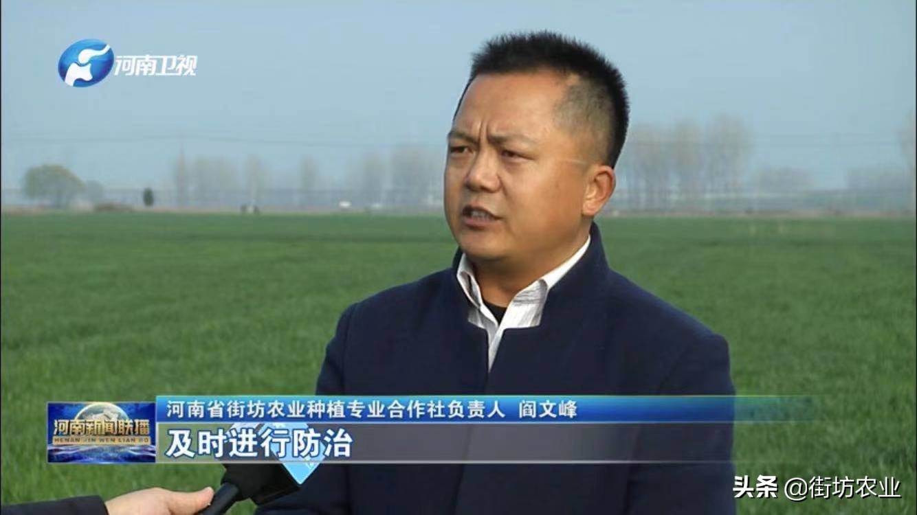 乡村振兴聚焦农业优质项目,乡村振兴十大特色项目