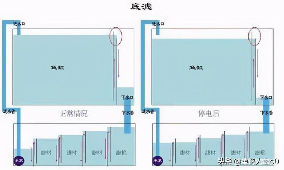 养鱼怎样完善过滤系统,底滤缸养鱼用哪种过滤