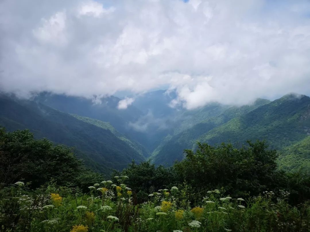 贵州中秋旅游最佳去处,贵州旅游十大景点排名中秋