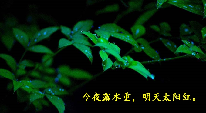 小学语文知识拓展练习册,小学语文第11课彩虹