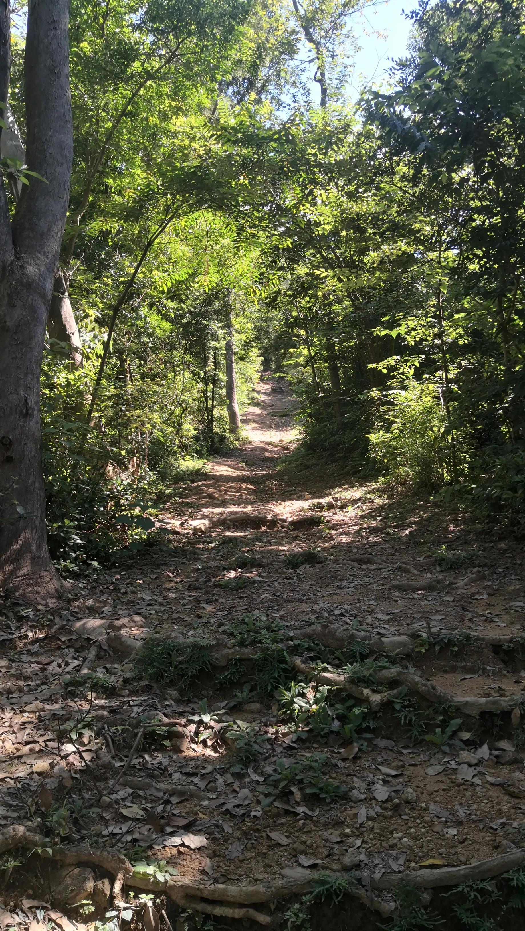 香港凤凰山狗牙岭难度大不大,香港凤凰山最难爬的山