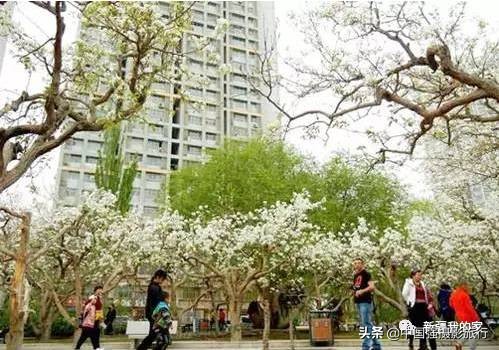 又一封辞职信火了，*疆新**人已传疯