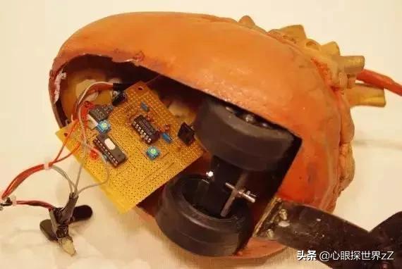 日本妹子设计的*体器人官**电器,有点重口味了吧…