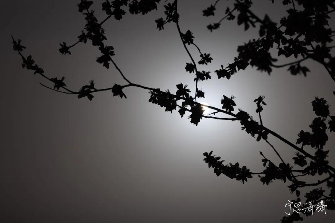 佳能rf70-200mmf4镜头价格,轻巧大光圈长焦佳能rf70-200mmf2