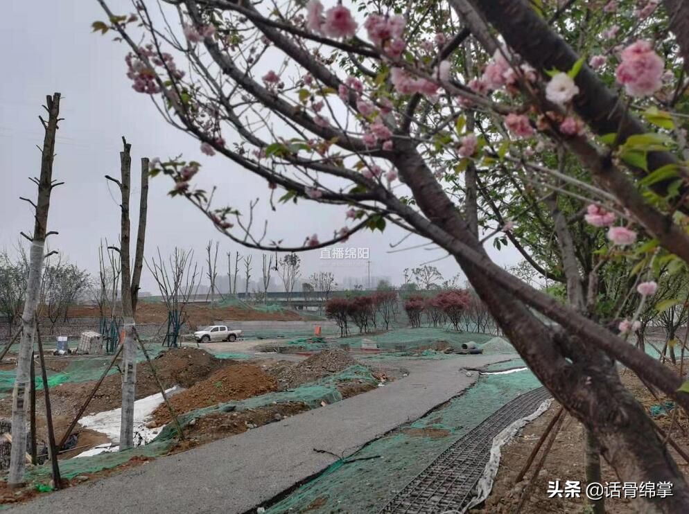 姘翠笂鍏洯婕,姘翠笂璧忚姳鏍堥亾婕鑽峰洯