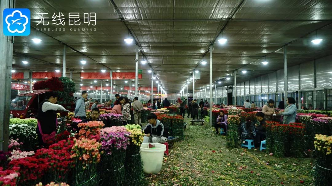 昆明哪有好玩的地方,昆明市内有什么好玩的地方