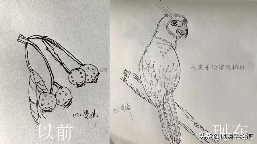 征稿|风熏手绘2019年度手绘达人秀来啦，还有辉柏嘉大奖等你拿