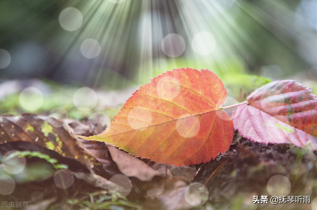 博观而约取厚积而薄发的意思,博观而约取厚积而薄发意思及道理