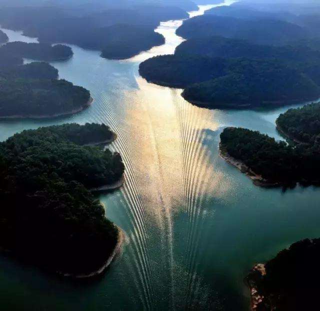 湖北松滋洈水风景区门票多少钱,松滋洈水旅游风景区游客量