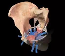 人民医院微讲堂,妇幼保健微课堂