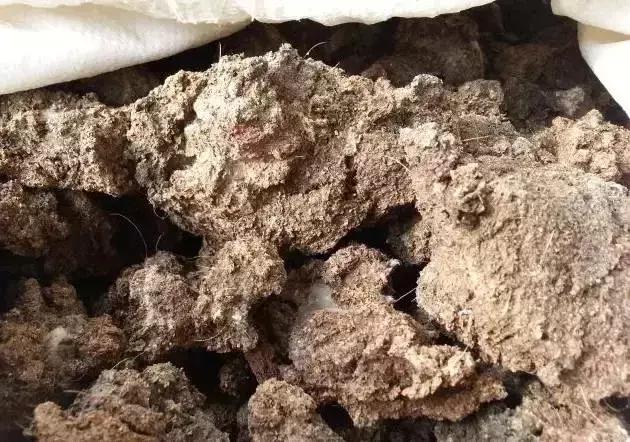 牛粪鸡粪猪粪哪种做有机肥料好,鸡粪牛粪羊粪哪个更肥力好