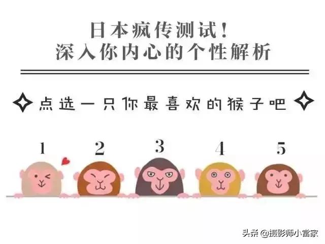 猴子心理实验测试,猴子心理测试及答案