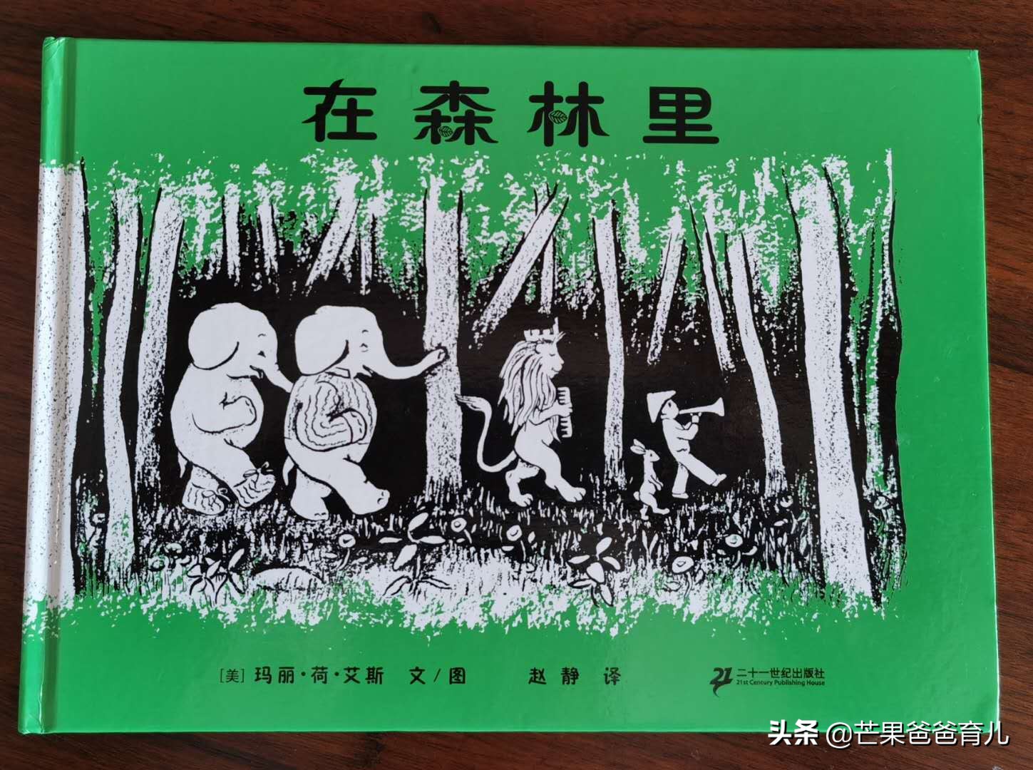 幼儿园推荐的100本绘本,适合幼儿园老师看的绘本