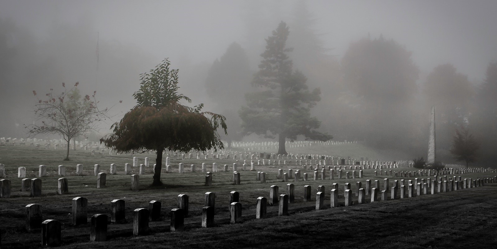 纽约华人悲情故事：中国城最忙碌的是殡仪馆，运尸工成热门兼职