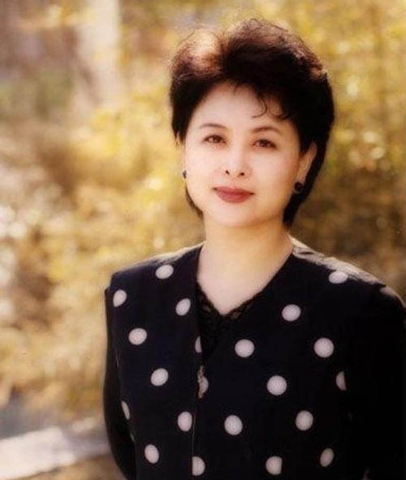 央视退休主持人今昔对比,高逸峰倪萍赵忠祥杨澜鲁豫访谈