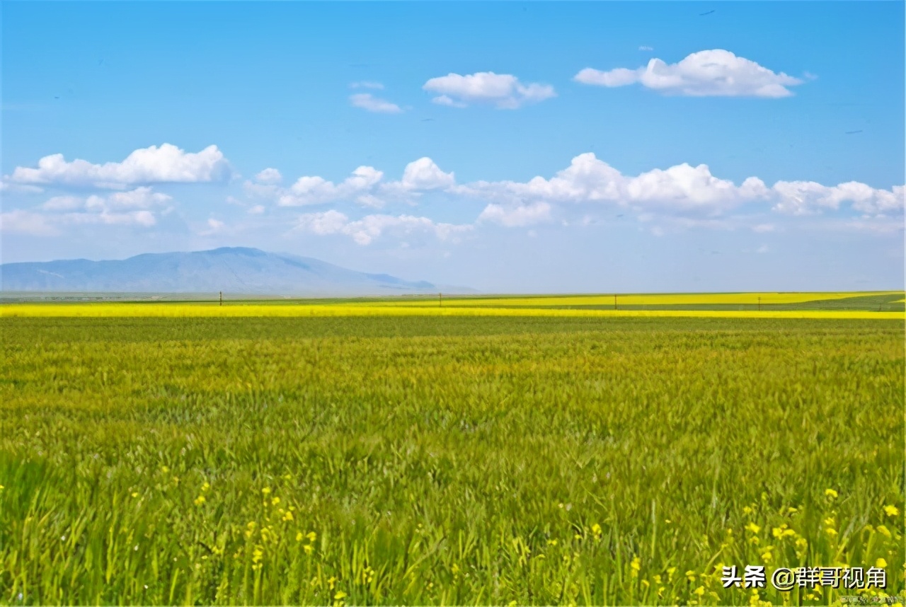 陕西两所独立学院转公办,2024陕西可能转设的独立学院