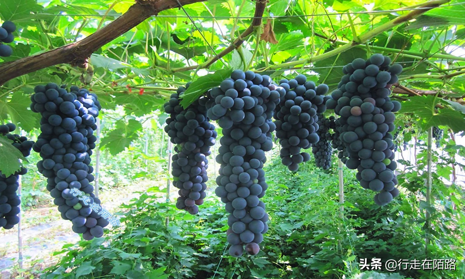 中东最富裕的城市,亚洲生活成本最低城市