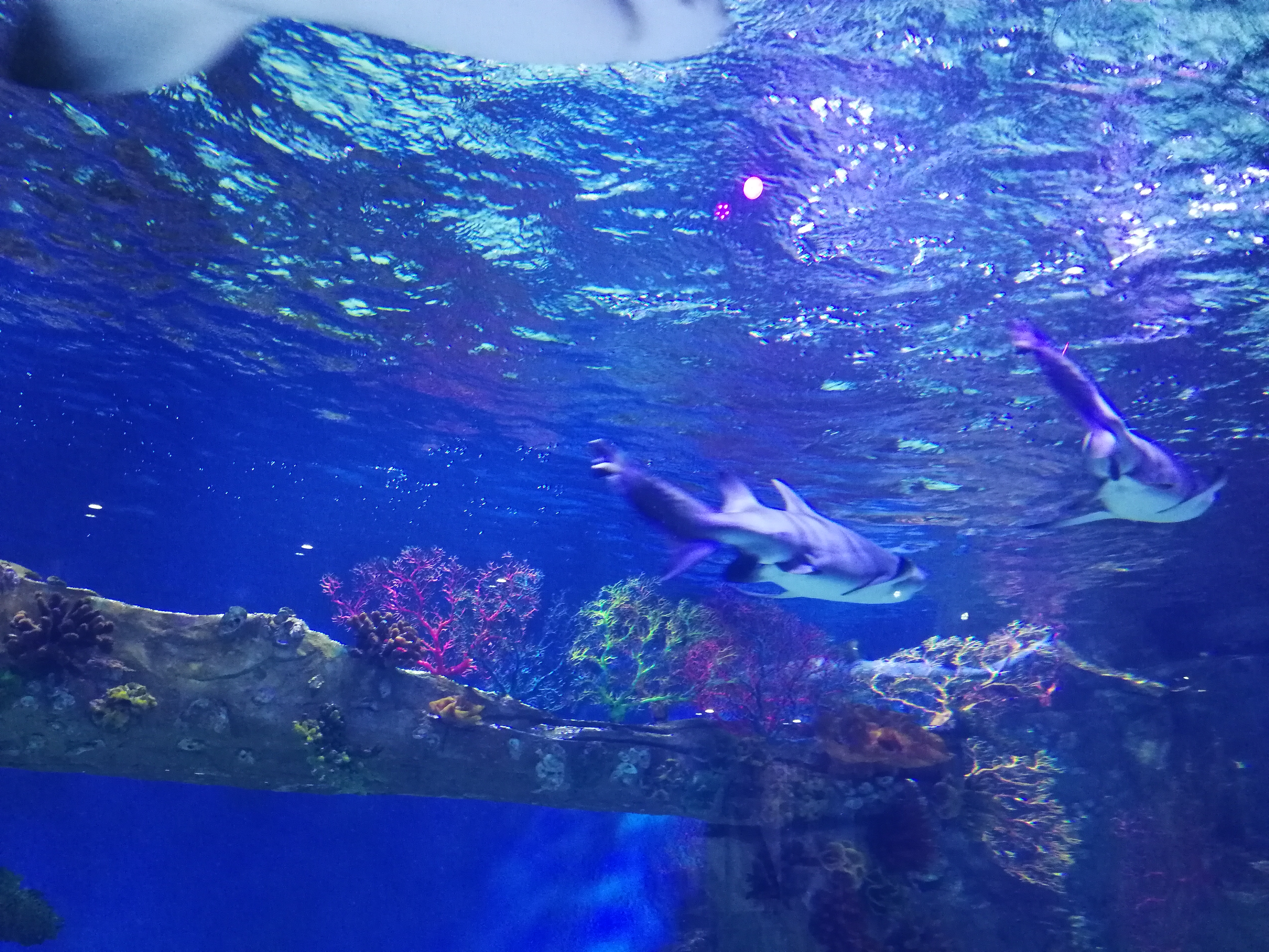 起名代表坚强勇敢的字,怎么起个励志的名字