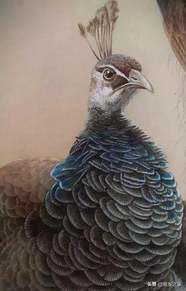 陈松岩工笔白描画全集,陈松岩工笔国画