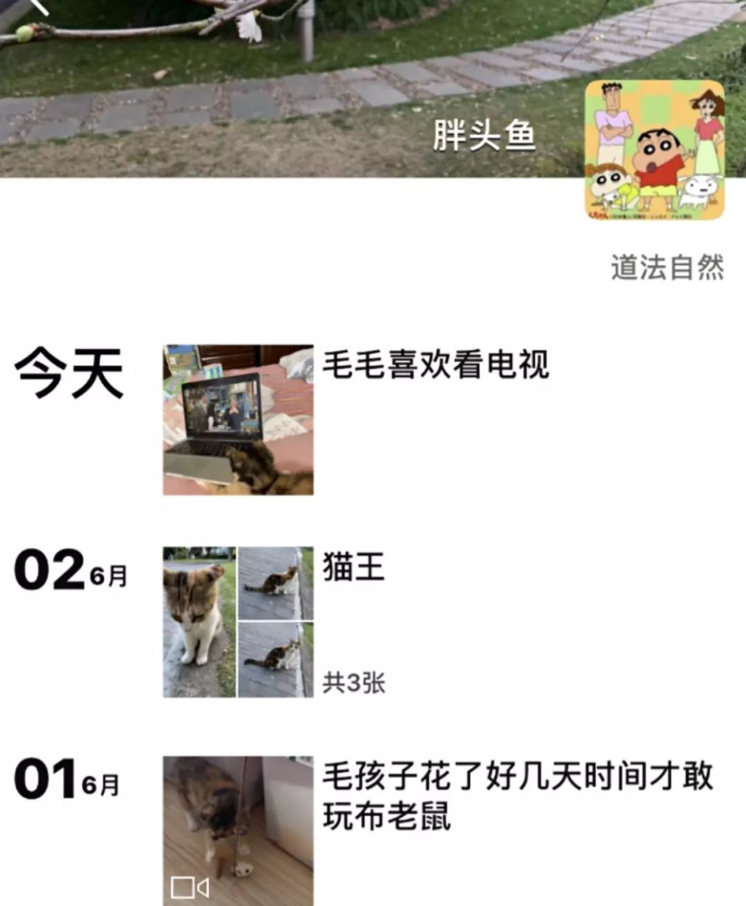 爸妈养宠物之后，就没你什么事了