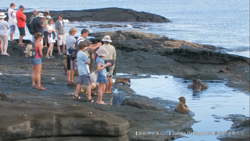 世界上最长寿的象龟多少岁,迄今发现最长寿的龟