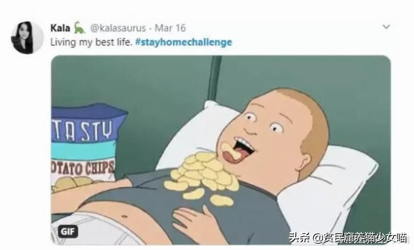 猫咪VS拼图,嫉妒心也太强了,猫:这些小方块真的比我好玩?