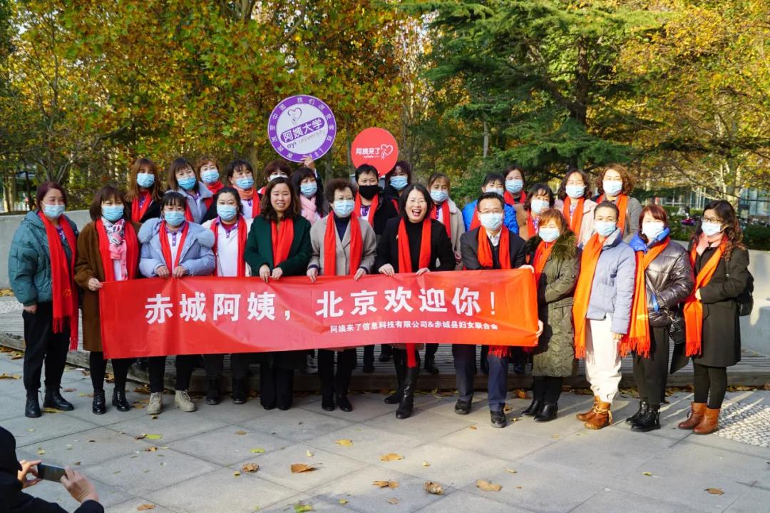 日拱一卒功不唐捐——盘点阿姨来了走过的2020