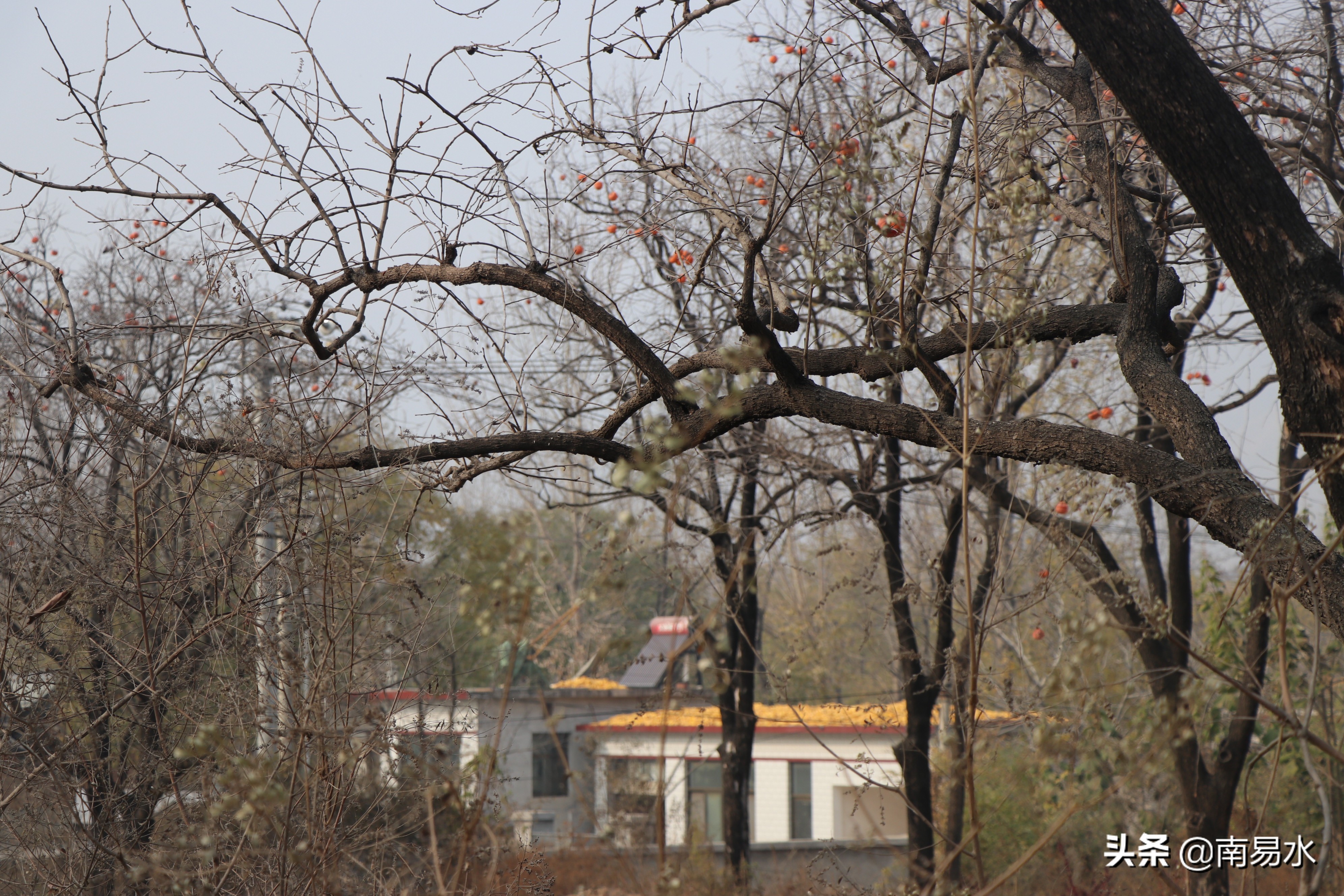 家乡风景带你一起感受自然的味道,令你难以忘怀的家乡的味道