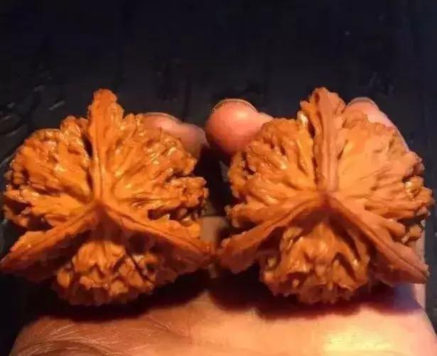 文玩核桃应该是先包浆还是先上色,文玩手串核桃怎么上色快包浆快