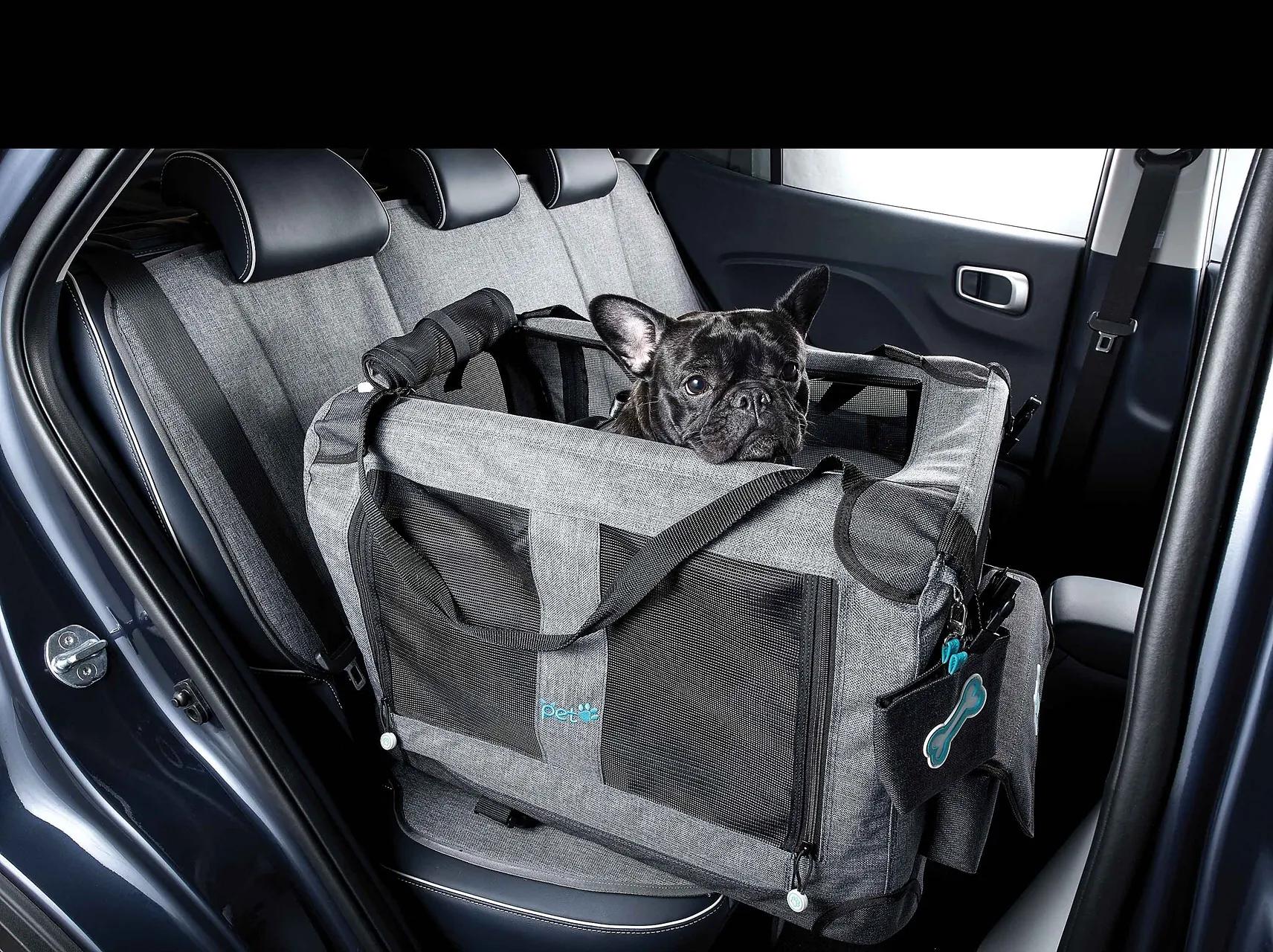 性价比最高的韩国汽车,日本最便宜汽车排行