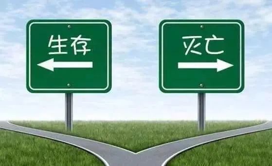 淘客代理系统小程序,淘客代理app怎么在群里发单