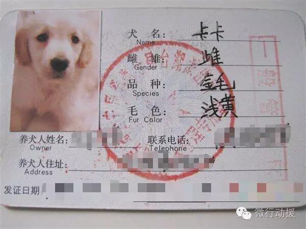 社区办理狗证需要什么手续,办狗证工作好吗