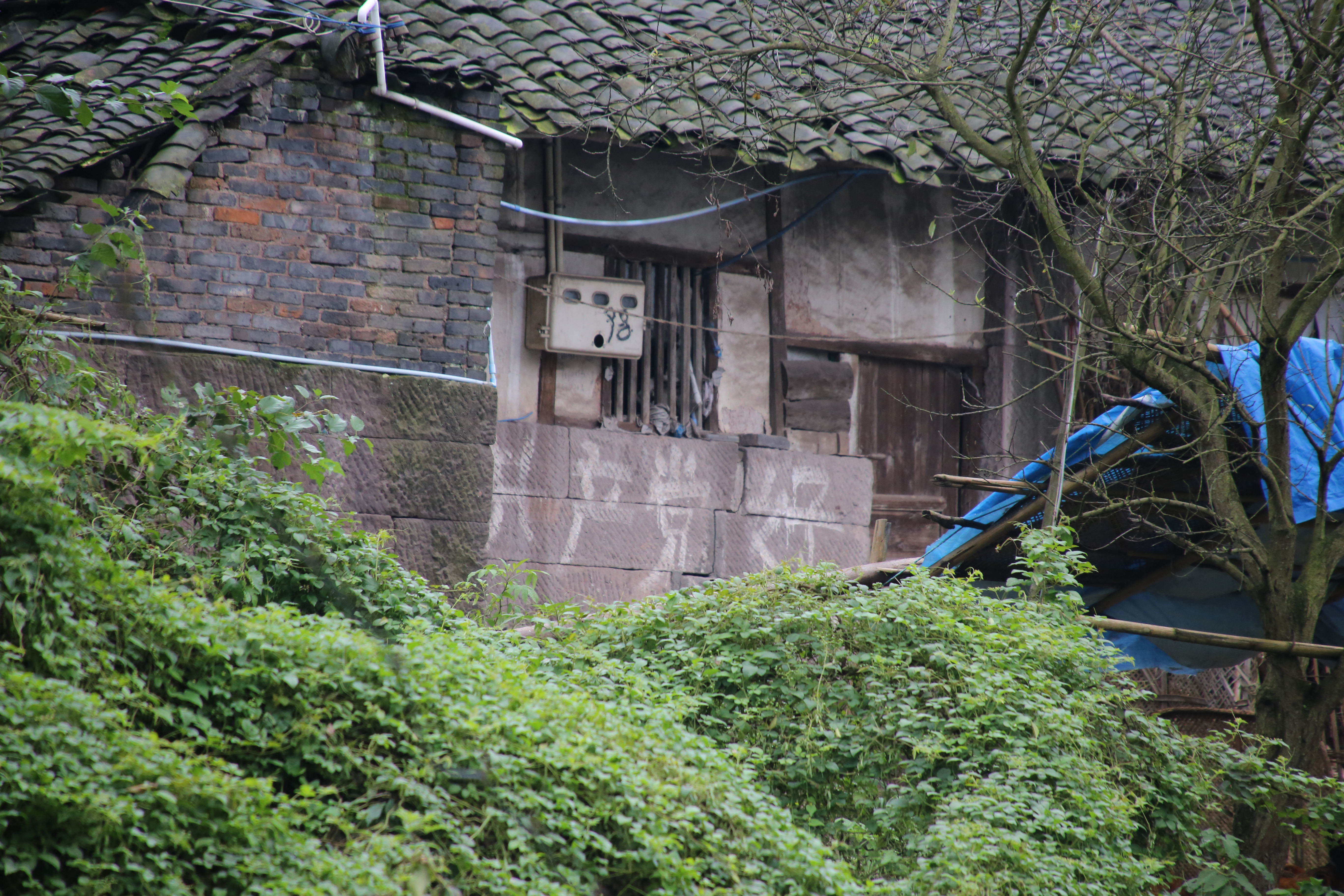 广安消失的公社--保华公社