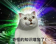 你的小米手机使用现状,小米手机卡顿关闭哪个功能