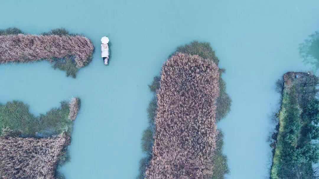 股二债八的基金哪个好,股债2:8组合收益率