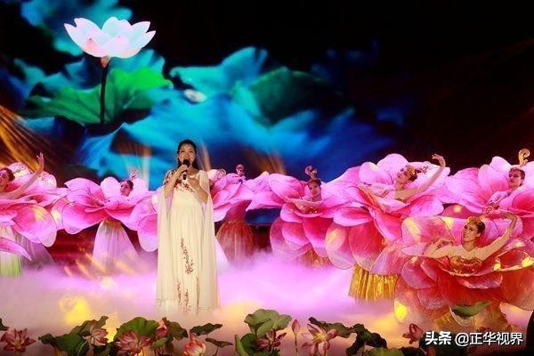 尽领龙湖风情品味水韵荷香2019淮阳龙湖赏荷旅游月精彩启幕