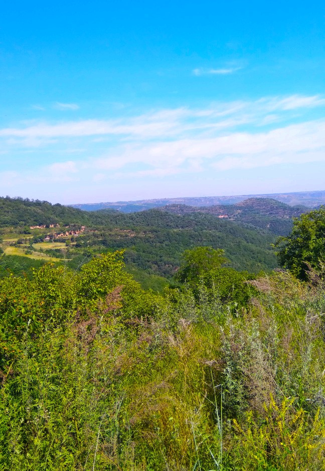 陕西十大避暑的地方,咸阳避暑旅游攻略