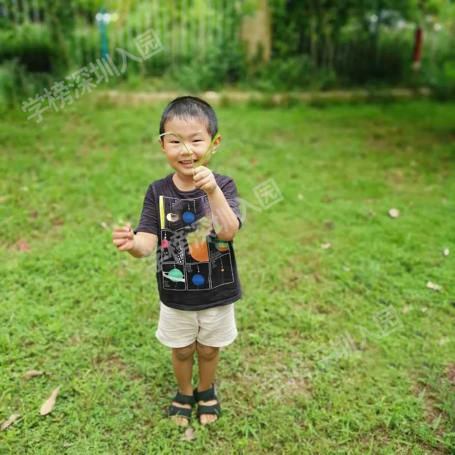 南翔翔华幼儿园招生简章,祥瑞华幼儿园价格