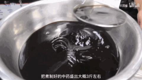 龟苓膏真的有龟吗,龟苓膏里真的有龟吗