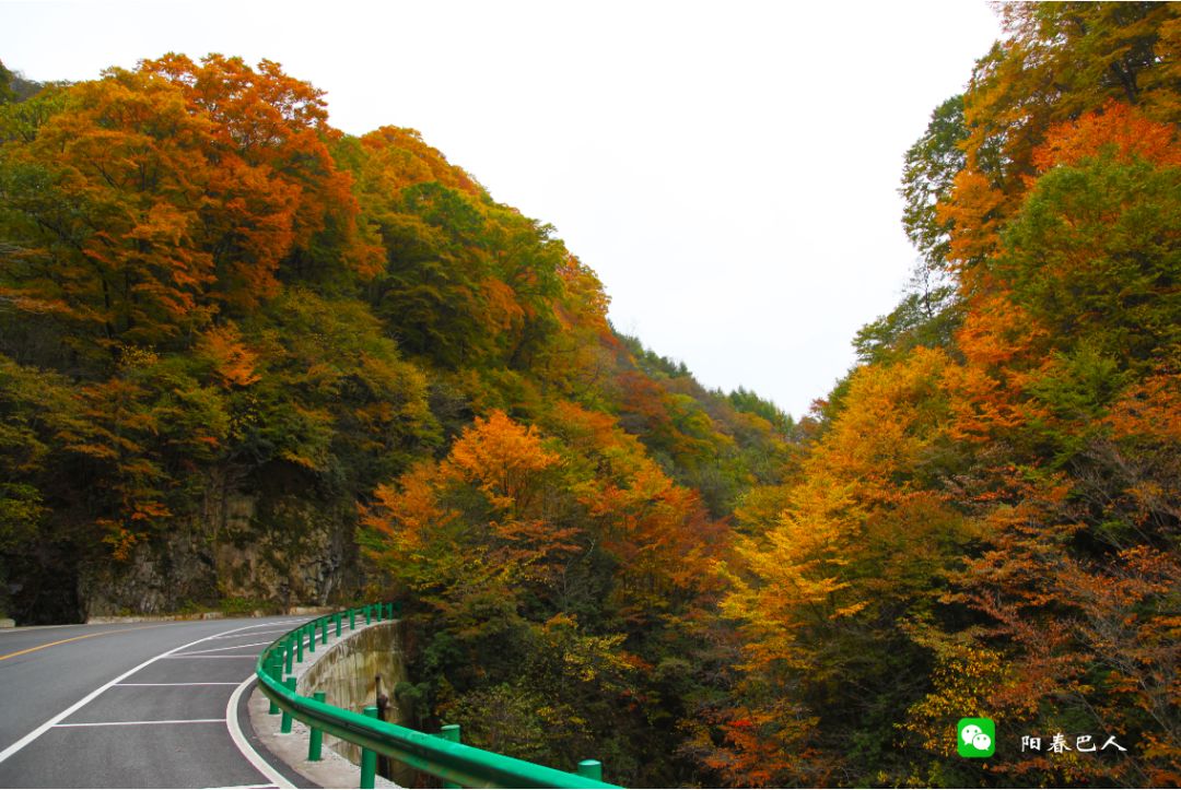 光雾山摄影,一位摄影师镜头下的中国