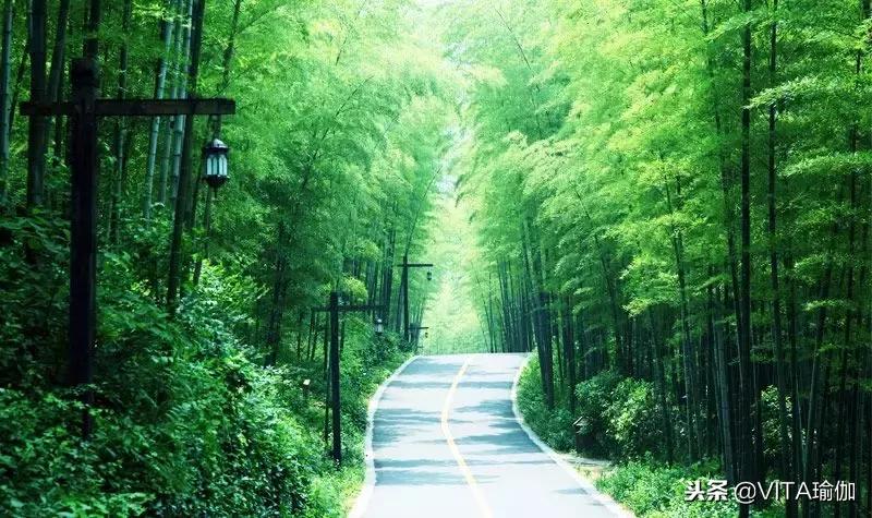 禅修茶道瑜伽馆,禅修疗愈馆