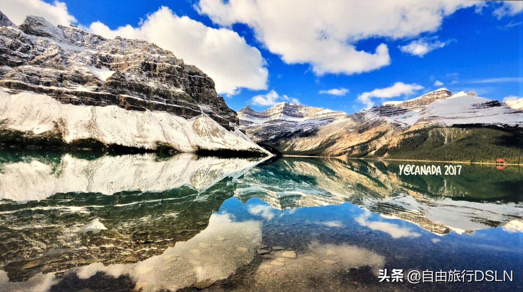 塞尔维亚语起源,塞尔维亚巴尔干之虎的来历