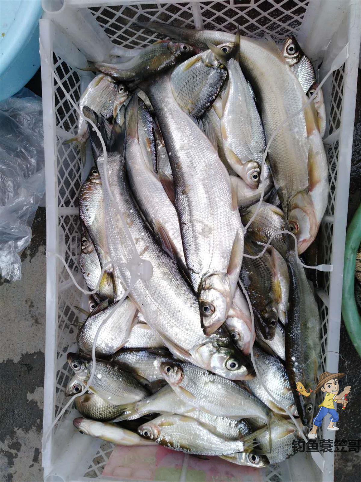 钩子型号怎么选,新手用什么鱼钩最合适