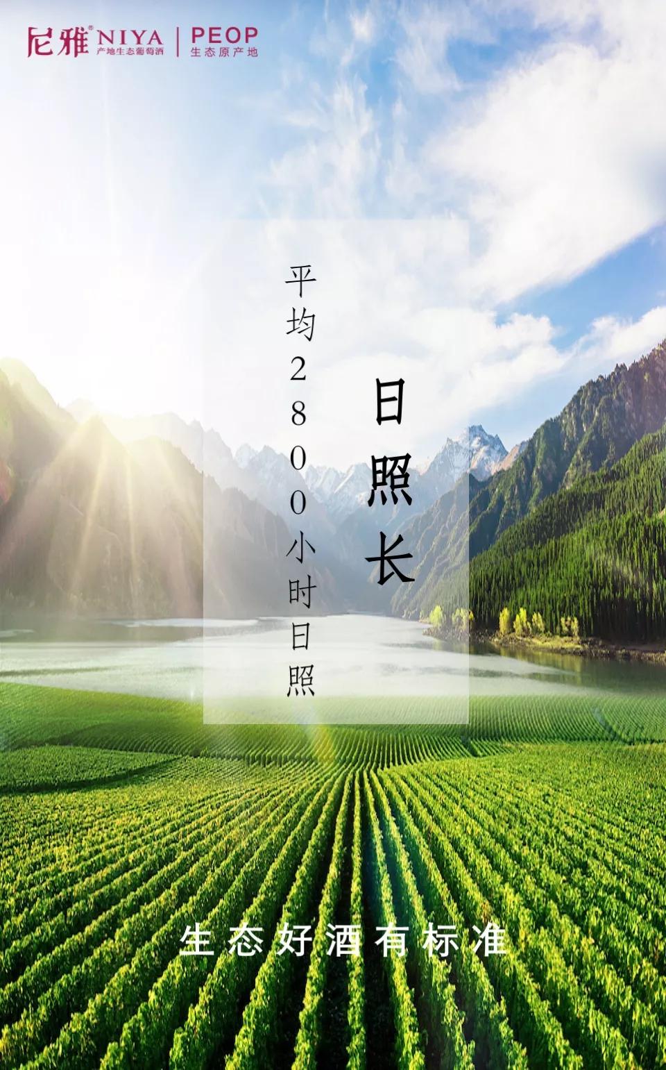 尼雅五星东方白酒,生态好酒自然柔和