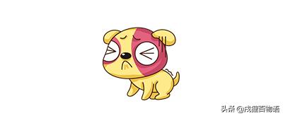 怎么判断狗狗是否有这4种表现,如何判断狗狗是否会狂犬病